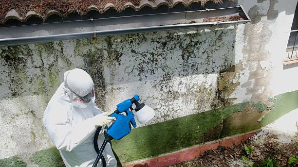 Trusted Bathroom Mold Removal service in Lincoln, IL - Cheap Mold Removal